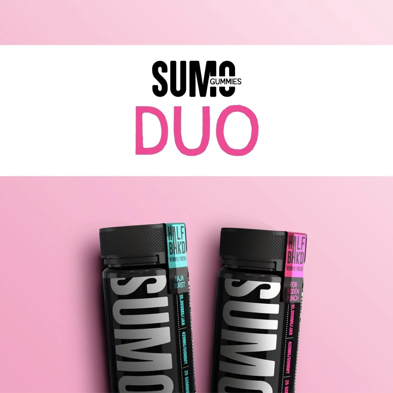 SUMO Bundles